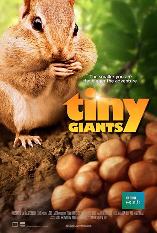 دانلود مستند Tiny Giants 3D 2014 ( کوچولوهای غول‌پیکر ۲۰۱۴ ) با زیرنویس فارسی چسبیده