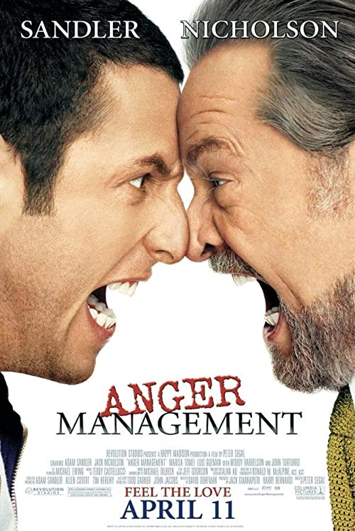 دانلود فیلم Anger Management 2003 ( خشم‌درمانی ) با زیرنویس فارسی چسبیده