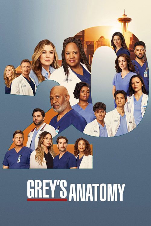 دانلود سریال Grey’s Anatomy ( آناتومی گری ) با زیرنویس فارسی چسبیده