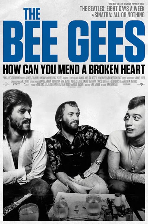 دانلود مستند The Bee Gees: How Can You Mend a Broken Heart 2020 با زیرنویس فارسی چسبیده